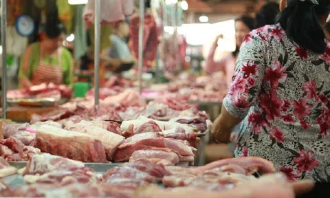 Thịt lợn tăng không ngừng, Bộ Công Thương sẽ thanh tra những đối tượng nào?